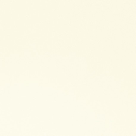 Enduit terre/argile extra fin - blanc Enduit terre/argile extra fin - blanc