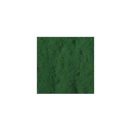 Vert fougère